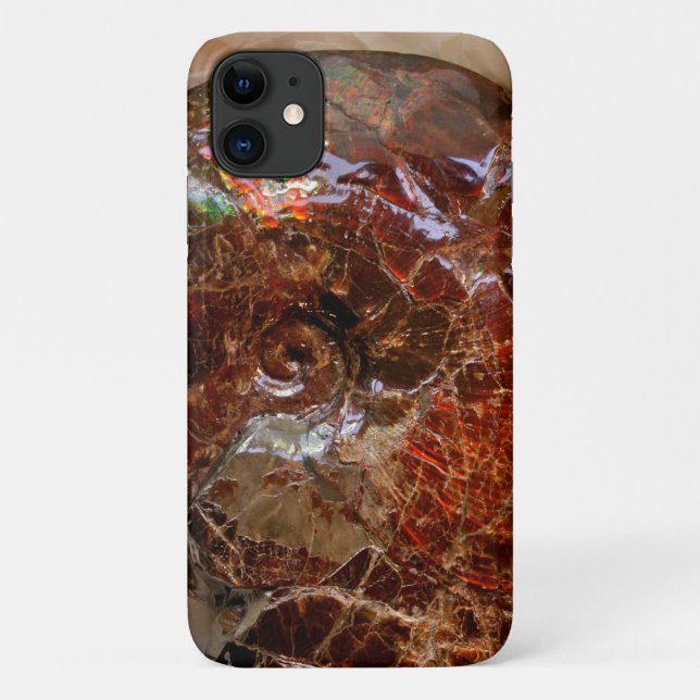 Capa Para iPhone 11 Ammonite ammolita (Verso)