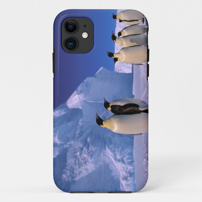 Capa Para iPhone 11 Antártida, Território Antártico Australiano, 7 (Verso)