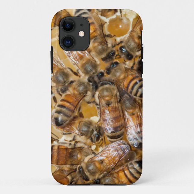 Capa Para iPhone 11 Apicultura na Arlo's Honey Farm (Verso)