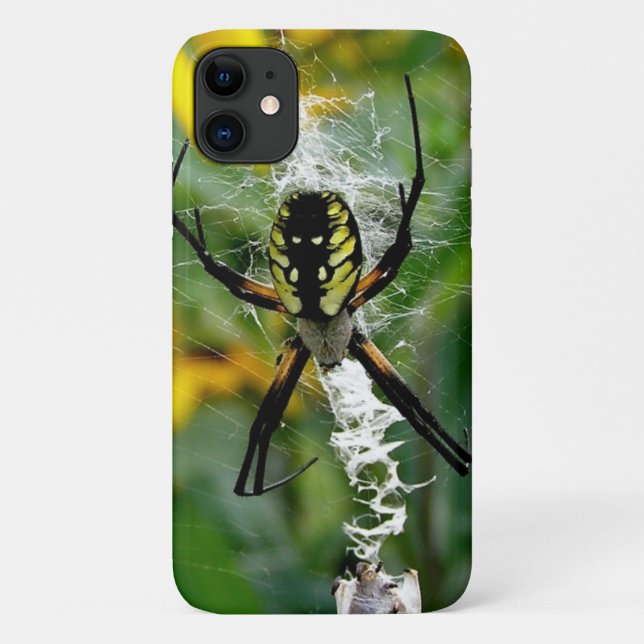 Capa Para iPhone 11 Aranha Orbicular na Teia (Verso)