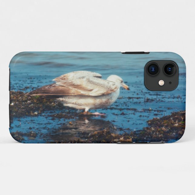 Capa Para iPhone 11 Arenque Gull P1046 (Verso (horizontal))