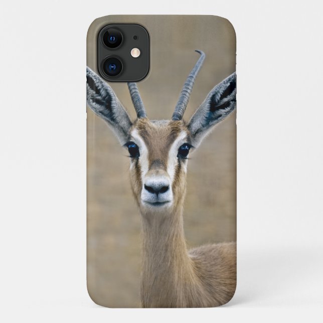 Capa para iPhone 11 Ariel (Verso)