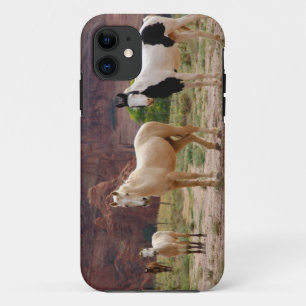 Capa Para iPhone 11 Arizona, Reserva Indígena Navajo, Chinle,