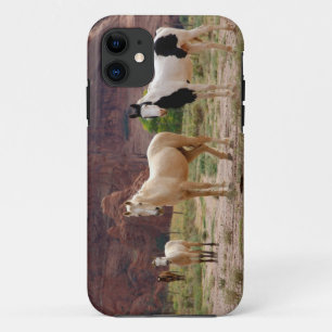 Capa Para iPhone 11 Arizona, Reserva Indígena Navajo, Chinle,