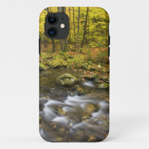 Capa Para iPhone 11 Arroyo Sanderson. Bosque Estatal Chester-Blanford.