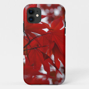 Capa Para iPhone 11 Árvore mapeada japonesa