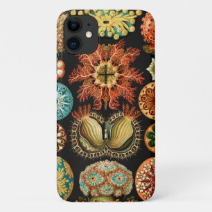 Capa Para iPhone 11 Ascidiae, Seescheiden Vida Marinha por Ernst Haeck