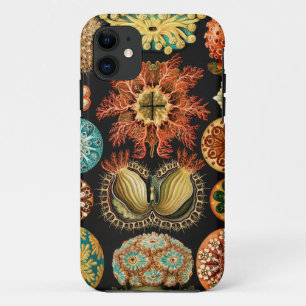 Capa Para iPhone 11 Ascidiae, Seescheiden Vida Marinha por Ernst Haeck