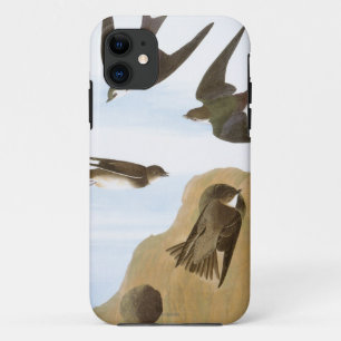 Capa Para iPhone 11 Audubon: Andorinhas