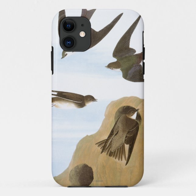 Capa Para iPhone 11 Audubon: Andorinhas (Verso)