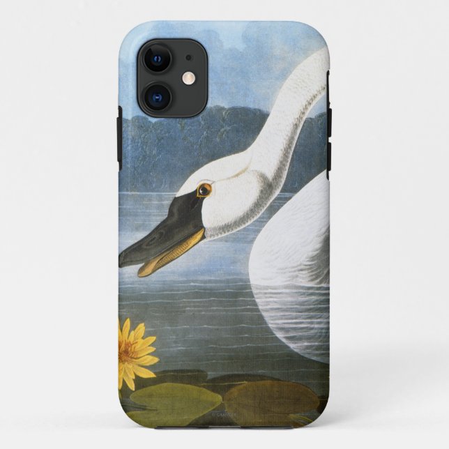 Capa Para iPhone 11 Audubon: Cisne comum (Verso)