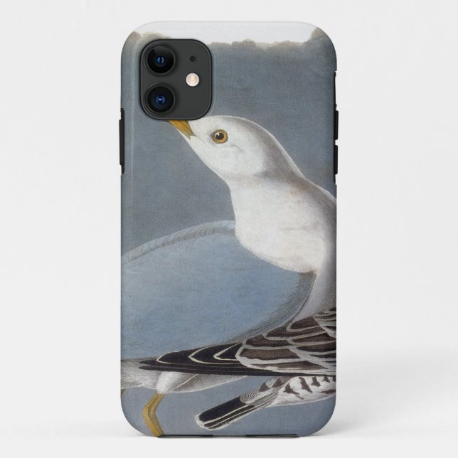 Capa Para iPhone 11 Audubon: Gaivota Anel-Faturada (Verso)