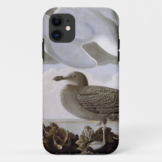 Capa Para iPhone 11 Audubon: Gaivota de arenques (Verso)