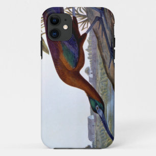 Capa Para iPhone 11 Audubon: Íbis lustrosos