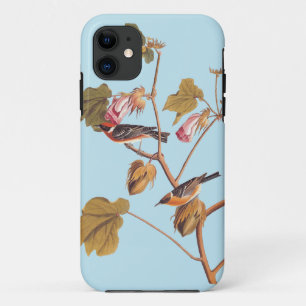 Capa Para iPhone 11 Ave de Warbler de Semente Amazada de Audubon na fá