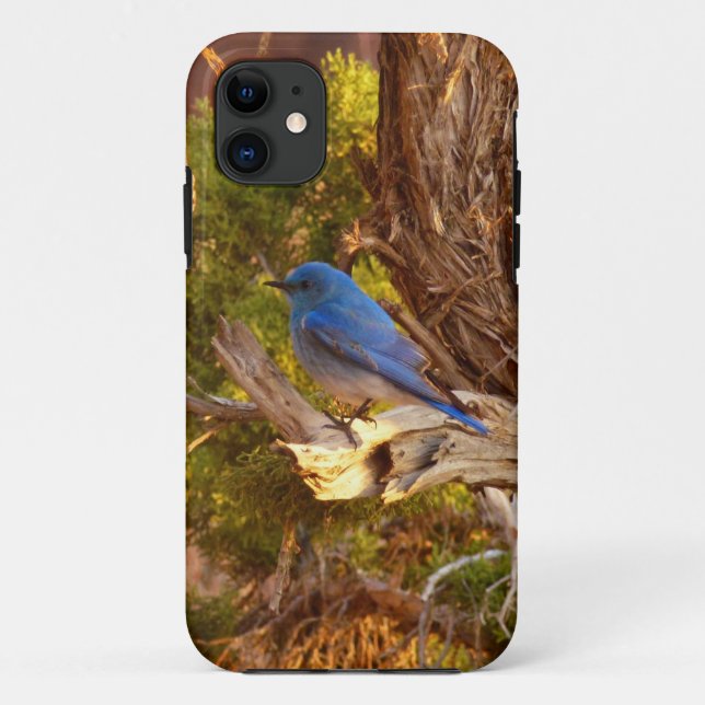 Capa Para iPhone 11 Azulinho-das-montanhas no Parque Nacional Arches (Verso)