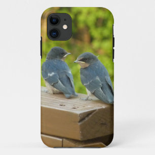 Capa Para iPhone 11 Baby Barn Swallow Nature Bird Fotografia