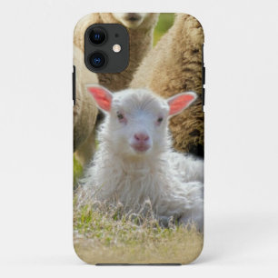 Capa Para iPhone 11 Baby Lamb