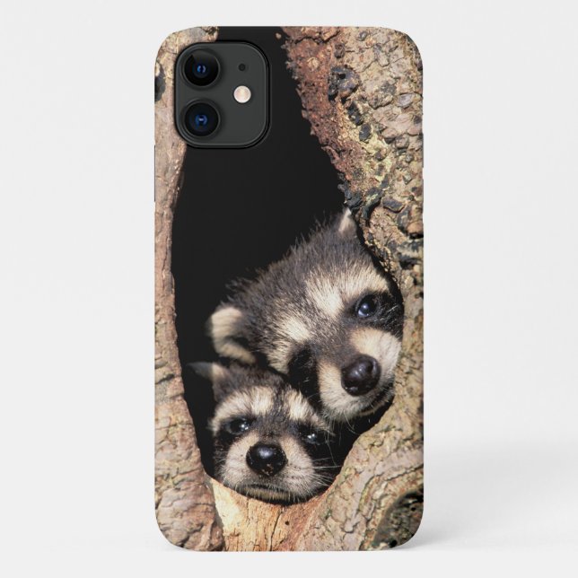 Capa Para iPhone 11 Baby Raccoons saindo da árvore (Verso)