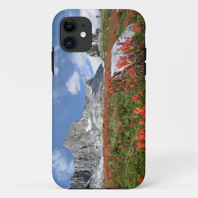 Capa Para iPhone 11 Banner Pico de Flores Selvagens - Ansel Adams Wild (Verso)