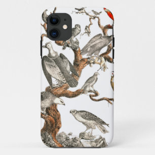 Capa Para iPhone 11 Barn Owl Snowy Bird Nature