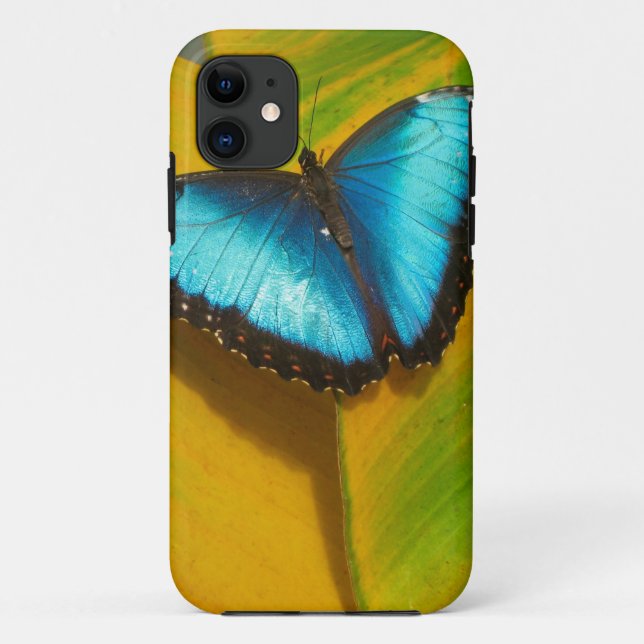 Capa Para iPhone 11 Bela Borboleta Iridescente (Verso)