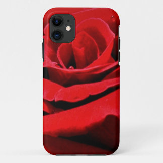 Capa Para iPhone 11 Bela Rosa Vermelha Natureza Floral