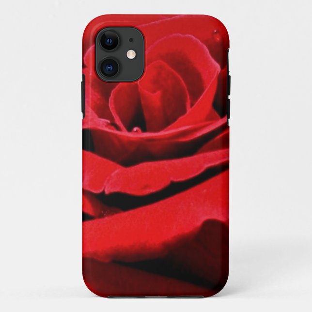Capa Para iPhone 11 Bela Rosa Vermelha Natureza Floral (Verso)