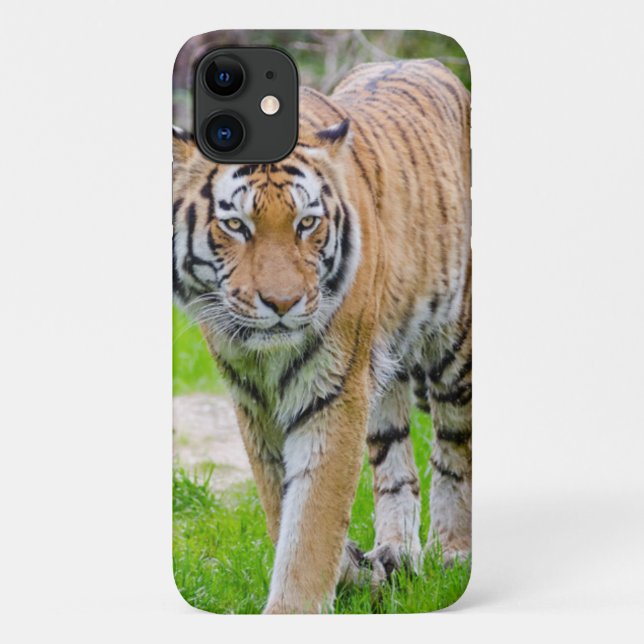 Capa Para iPhone 11 Bela Tigre (Verso)