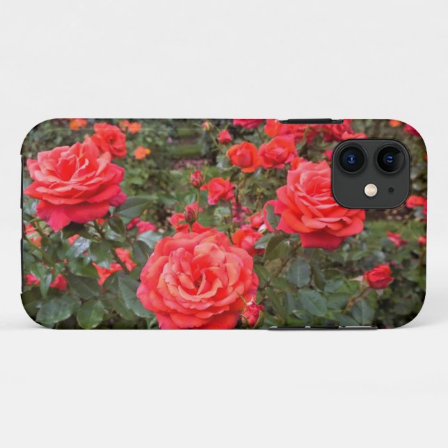 Capa Para iPhone 11 Belas Rosas, Portland, Oregon (Verso (horizontal))