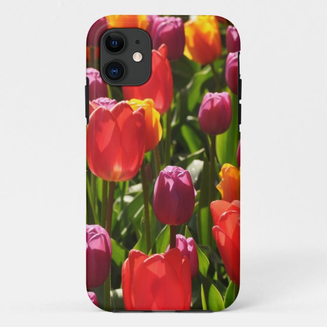 Capa Para iPhone 11 beleza de primavera tulipas (Verso)