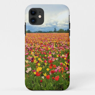 Capa Para iPhone 11 Belo Campo de Tulip, Oregon