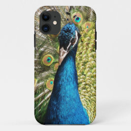 Capa Para iPhone 11 Belo Pavão