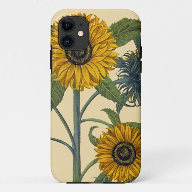 Capa Para iPhone 11 Besler: Girassol (Verso)