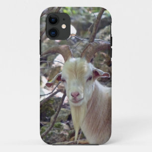 Capa Para iPhone 11 Billy Goat