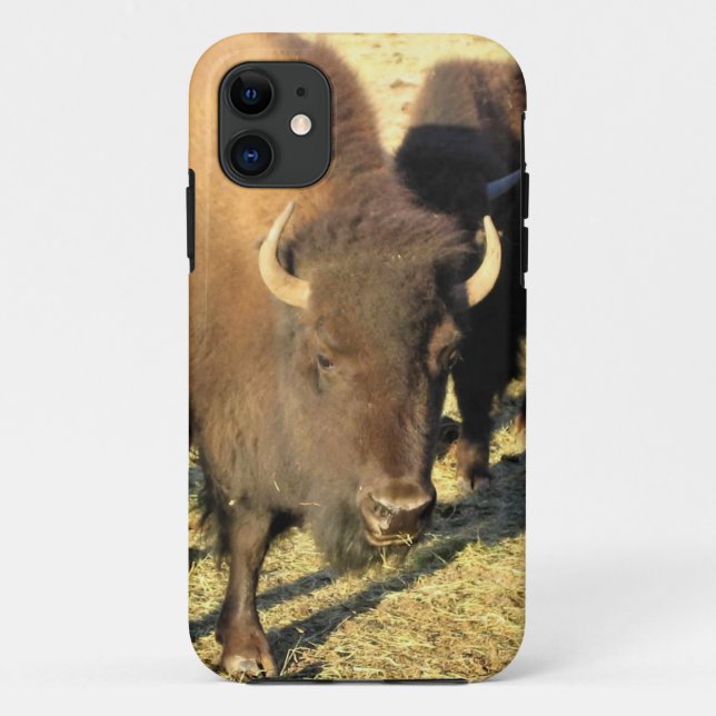Capa Para iPhone 11 Bison no Colorado (Verso)