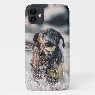 Capa Para iPhone 11 Black Labrador Joga Busca Na Água