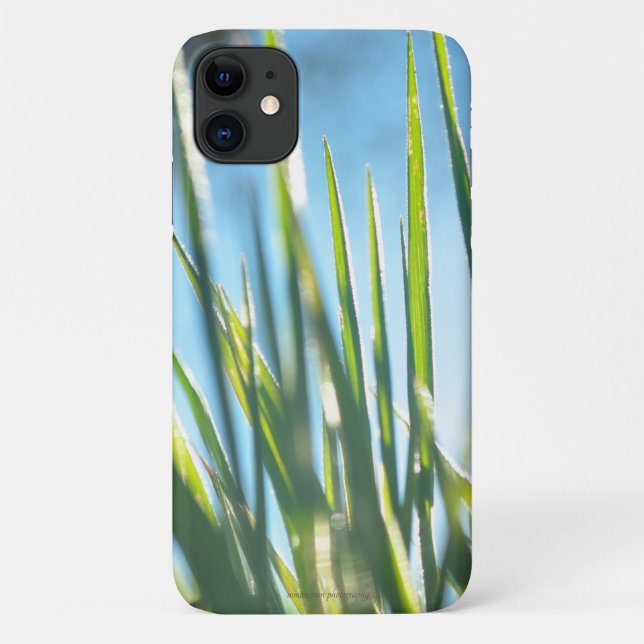 Capa Para iPhone 11 Blades Sunlit (Verso)