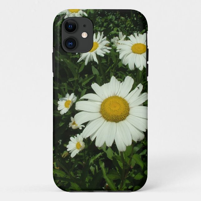Capa Para iPhone 11 bonito flores de margarida branca. (Verso)