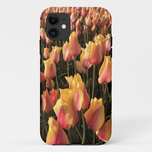 Capa Para iPhone 11 Bonito Tulipas Rosa e Amarelo (Verso)