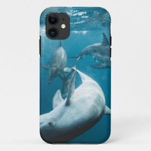 Capa Para iPhone 11 Bonitos golfinhos