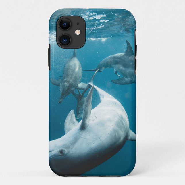 Capa Para iPhone 11 Bonitos golfinhos (Verso)