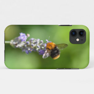 Capa Para iPhone 11 Bumble Bee Em Uma Lavanda 