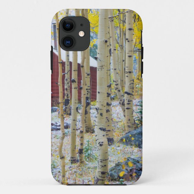 Capa Para iPhone 11 Cabana isolada na Grand Mesa numa floresta (Verso)