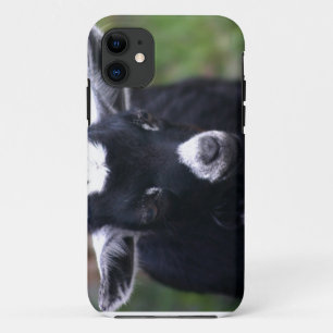 Capa Para iPhone 11 Cabra do bebê
