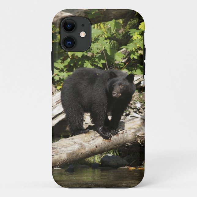 Capa Para iPhone 11 Caça ao Urso Negro Selvagem Foto (Verso)