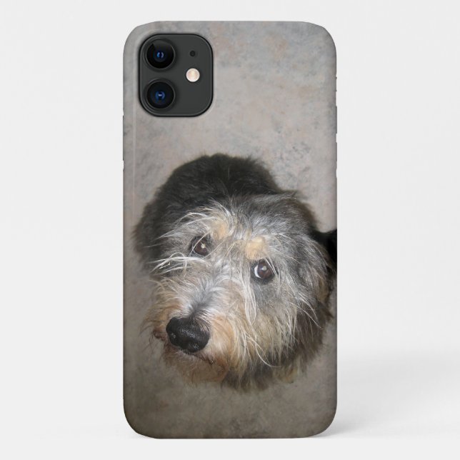 Capa Para iPhone 11 Cachorro bonito (Verso)