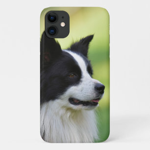 Capa Para iPhone 11 Cachorro Collie de Borda Preta e Branca