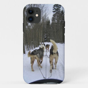 Capa Para iPhone 11 Cachorro Dormindo em Quebec, Canadá