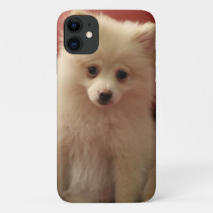 Capa Para iPhone 11 Cachorro Pomerano